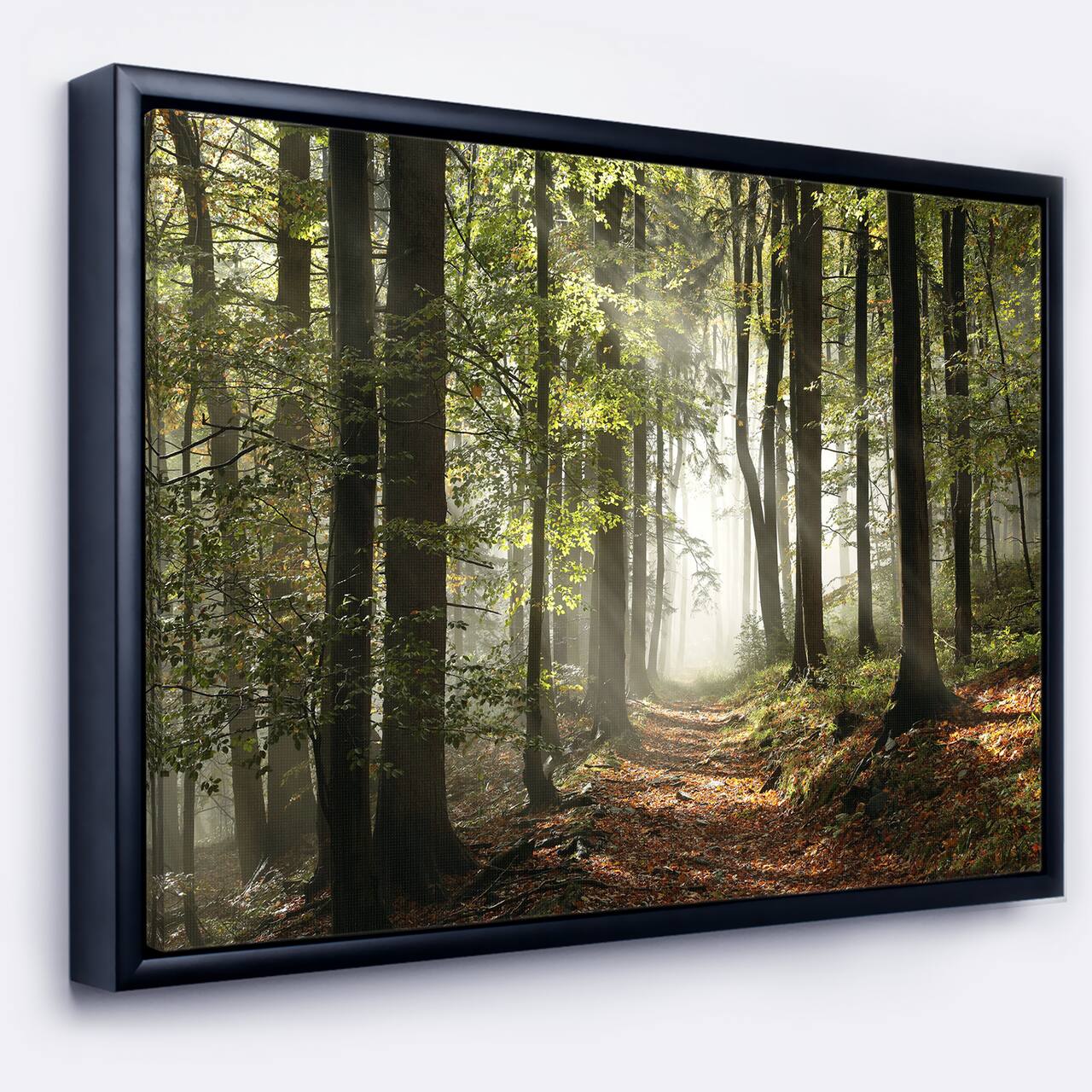 Designart - Green Fall Forest with Sun Rays - Landscape Photography Framed Canvas Print